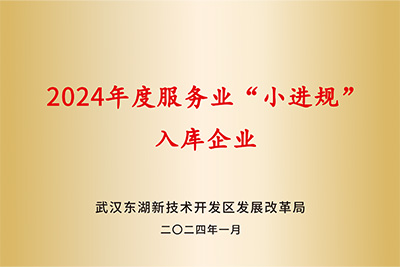 &ldquo;小进规&rdquo;入库企业