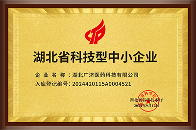 湖北省科技型中小企业