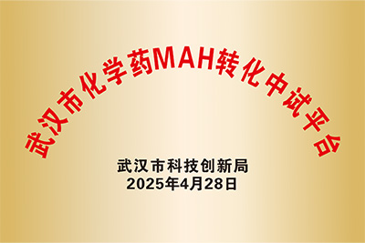 武汉市化学药MAH转化中试平台