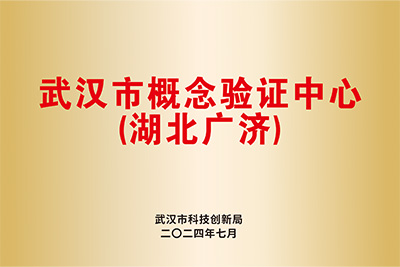武汉市概念验证中心