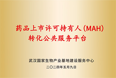 药品上市持有人MAH转化服务平台