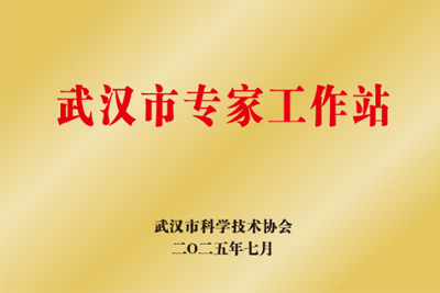 武汉市专家工作站