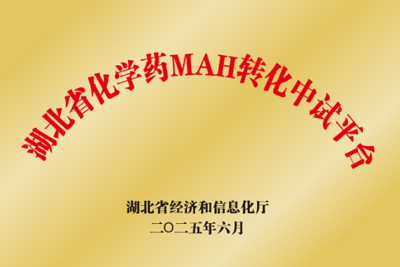 湖北省化学药MAH转化中试平台