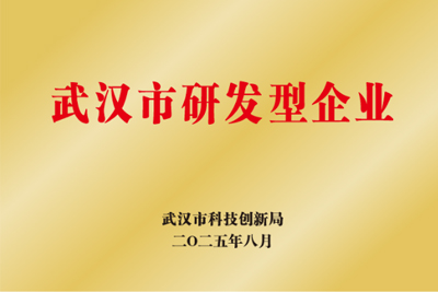 武汉市研发型企业